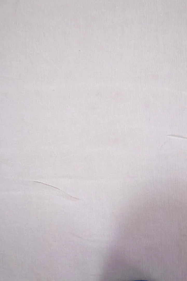 White Dyeable Pure Chiffon Silk