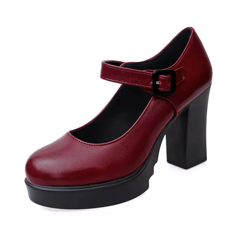 Women's Mary Jane Platform Block Heels